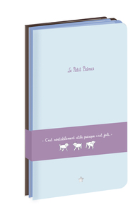 PETITS CARNETS DE SAC A MAIN 1 (3 CARNETS : BLANC, LIGNE ET CARREAUX)