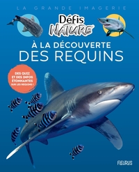 A LA DECOUVERTE DES REQUINS