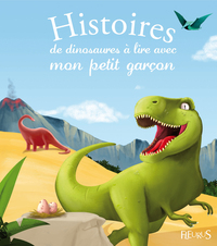 HISTOIRES DE DINOSAURES A LIRE AVEC MON PETIT GARCON