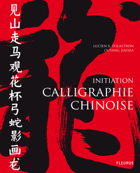 CALLIGRAPHIE CHINOISE