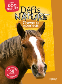 CHEVAUX ET PONEYS