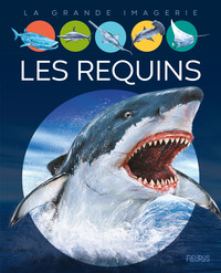 Les requins