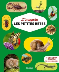 L'imagerie - Les petites bêtes