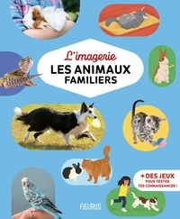 L'imagerie - Les animaux familiers