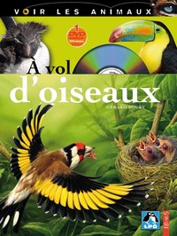 À vol d'oiseaux