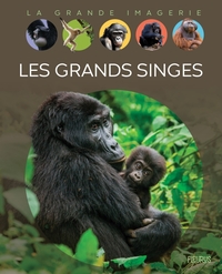 Les grands singes