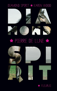 Diamond spirit - Tome 2 - L'esprit du cheval sauvage