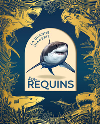 LES REQUINS