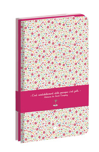 PACK PETITS CARNETS DE SAC A MAIN 2 (3 CARNETS : BLANC, LIGNE ET CARREAUX)