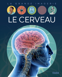 LE CERVEAU