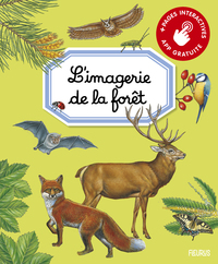 L'IMAGERIE DE LA FORET (INTERACTIVE)