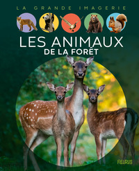 LES ANIMAUX DE LA FORET