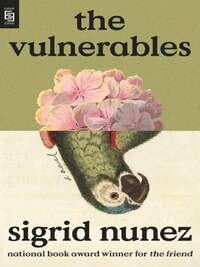 THE VULNERABLES