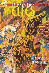 LE PAYS DES ELFES - TOME 25 - A LA CROISEE DES CHEMINS