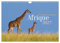 Afrique - Photographie animalière (Calendrier mural 2027 DIN A4 vertical), CALVENDO calendrier mensuel