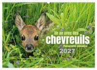 Un an avec des chevreuils (Calendrier mural 2027 DIN A2 vertical), CALVENDO calendrier mensuel
