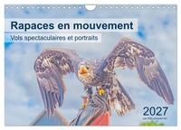 Rapaces en mouvement - Vols spectaculaires et portraits (Calendrier mural 2027 DIN A4 vertical), CALVENDO calendrier mensuel
