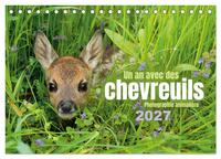 Un an avec des chevreuils (Calendrier de bureau 2027 DIN A5 vertical), CALVENDO calendrier mensuel