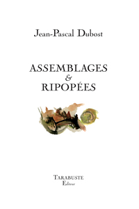 ASSEMBLAGES & RIPOPEES - Jean-Pascal Dubost