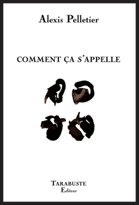 COMMENT CA S'APPELLE - Alexis Pelletier