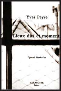 LIEUX DITS ET MOMENTS - Yves Peyré