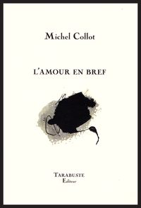 L'AMOUR EN BREF - Michel Collot