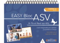 EASY BLOC ASV