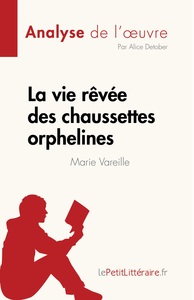LA VIE REVEE DES CHAUSSETTES ORPHELINES DE MARIE VAREILLE (ANALYSE DE L'OEUVRE) - RESUME COMPLET ET