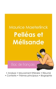 Réussir son Bac de français 2026 : Analyse de la pièce de théâtre Pelléas et Mélisande de Maurice Maeterlinck