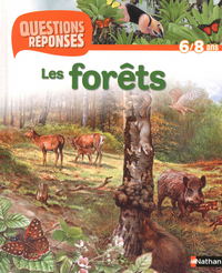 FORETS (AV PRIME CHATEAU FORT)