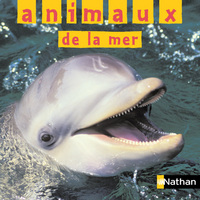 ANIMAUX DE LA MER