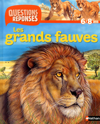 N15 - GRANDS FAUVES