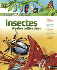 INSECTES