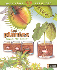 PLANTES