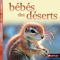 BEBES DES DESERTS