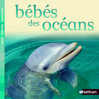 BEBES DES OCEANS