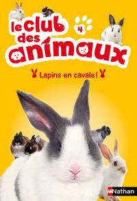 Lapins en cavale