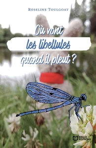 OU VONT LES LIBELLULES QUAND IL PLEUT ?