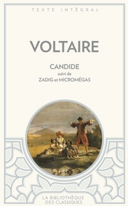 Candide Zadig Micromegas