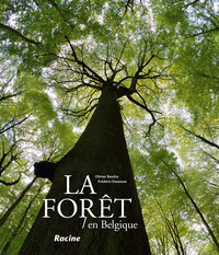 LA FORET EN BELGIQUE