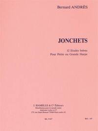 BERNARD ANDRES: JONCHETS (HARP SOLO)