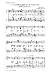 MAR NYUGOSZNAK A VOLGYEK : SZERELMI PANASZ CHANT