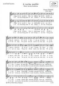 A TARKA MADAR CHANT