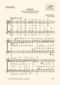 NOW IS THE GENTLE SEASON (MAJUS) CHANT