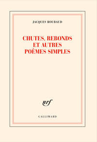 Chutes, rebonds et autres poèmes simples