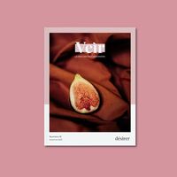 VEIR MAGAZINE - NUMERO 15 - AUTOMNE 2023 - DESIRER