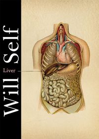 Liver