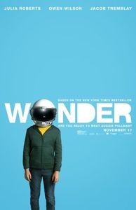 Wonder Film Tie in