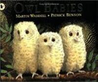 OWL BABIES
