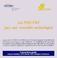 LES PME-PMI FACE AUX NOUVELLES TECHNOLOGIES (6E05) CD-ROM